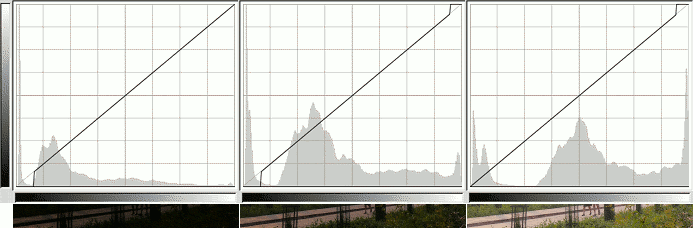 Preprocessing curves