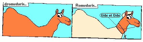 d-Romedaris