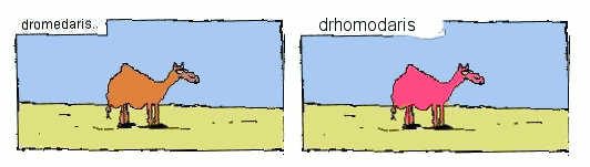 d-drhomodaris