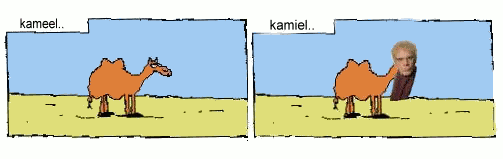 d-kamiel