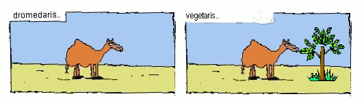 d-vegetaris